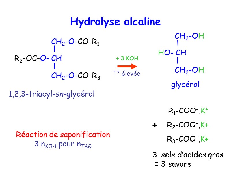 + + 3 KOH Hydrolyse alcaline 1,2,3-triacyl-sn-glycérol glycérol sels d’acides gras  = 3